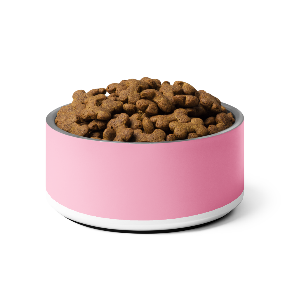 Custom Pet Bowl