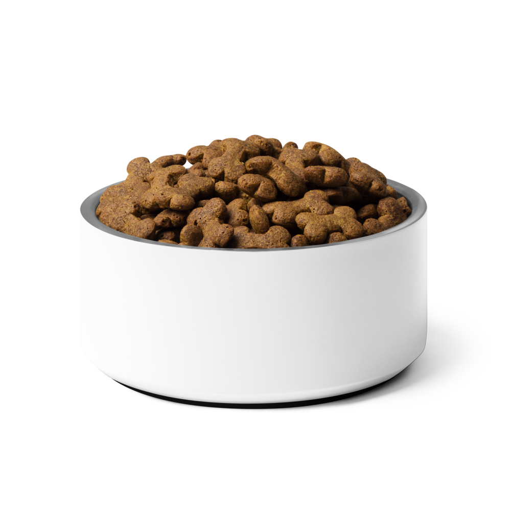 Custom Pet Bowl